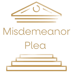 Federal case result misdemeanor plea